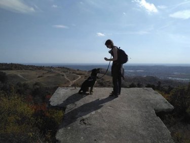 Wilson_2019.10.19._2