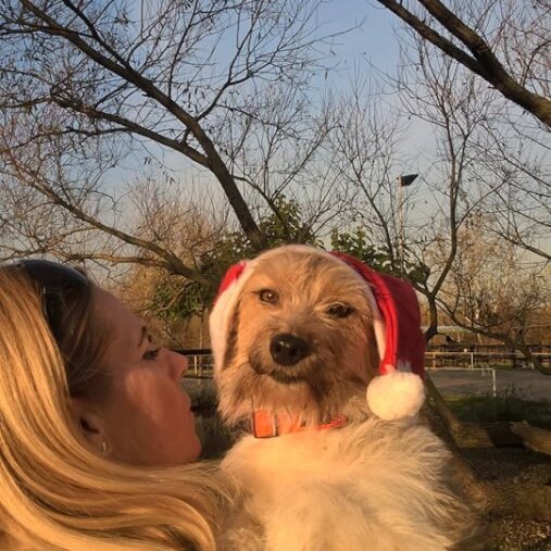 74230423_537996773453359_6300042794970906624_n 74230423_537996773453359_6300042794970906624_n