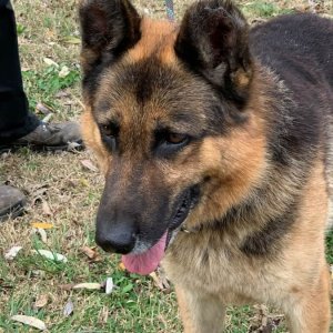 74530274_2458077491099694_2759892774059769856_n 74530274_2458077491099694_2759892774059769856_n