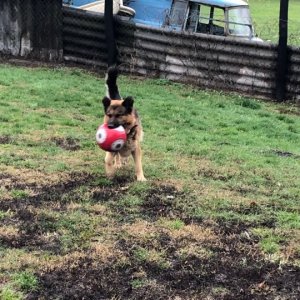 74599574_538988506882681_3631762210205728768_n 74599574_538988506882681_3631762210205728768_n