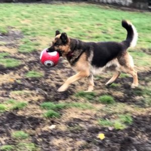 75392827_2466431290258736_8527086425751945216_n 75392827_2466431290258736_8527086425751945216_n