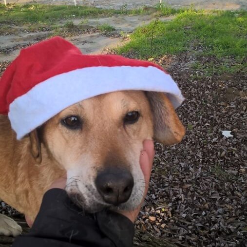 75456630_2880949848590805_6202829921077690368_n 75456630_2880949848590805_6202829921077690368_n