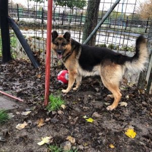 75550308_2560335550725751_8912130553075990528_n 75550308_2560335550725751_8912130553075990528_n