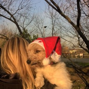 77020010_423646178546668_4221287948080906240_n 77020010_423646178546668_4221287948080906240_n