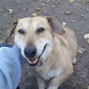 77143156_1441304756023073_5867417460868644864_o