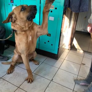 78741062_1453718054781743_3095578278224723968_n 78741062_1453718054781743_3095578278224723968_n