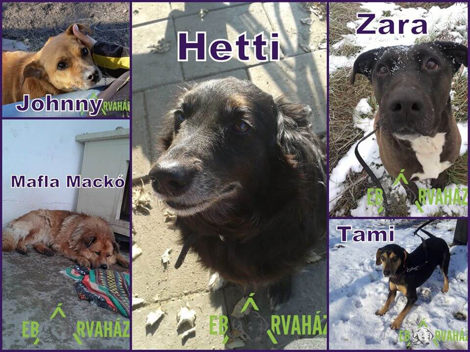 78770106_1464620963691452_7593086336299433984_o