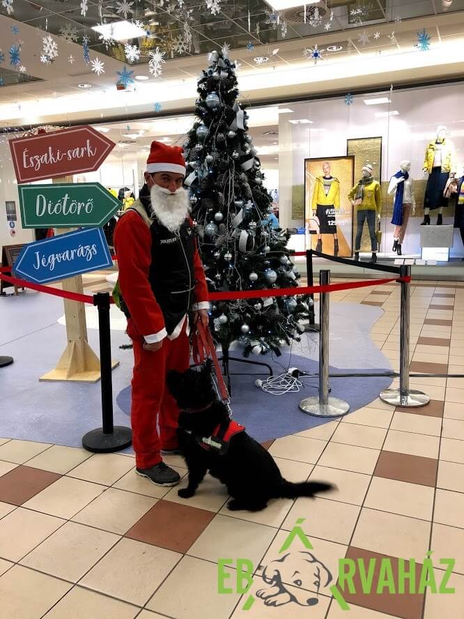 79364187_1463600103793538_7832047686604816384_n