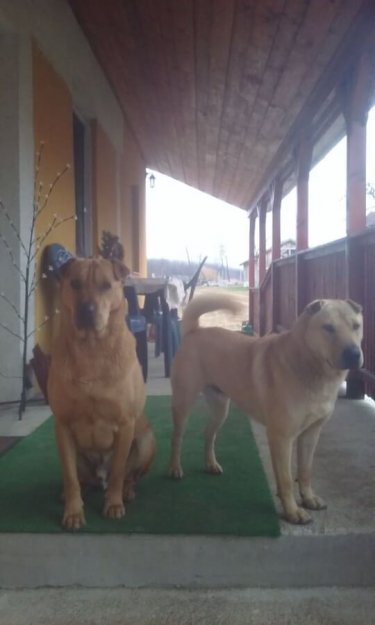 80557664_1481822041971344_5240189396262584320_o