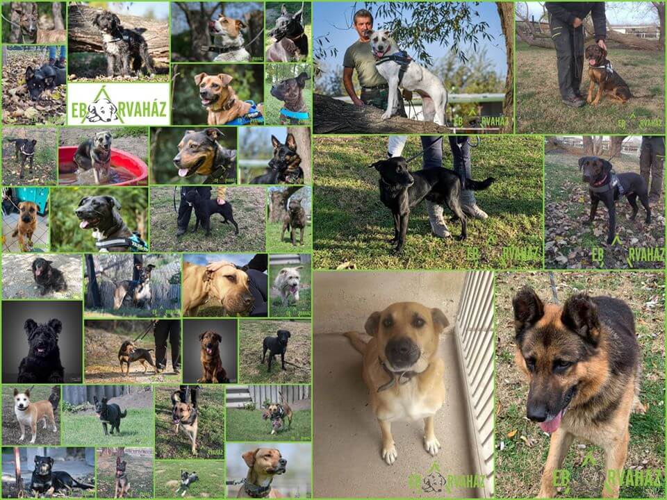 81038338_1487213854765496_1816806977645314048_o