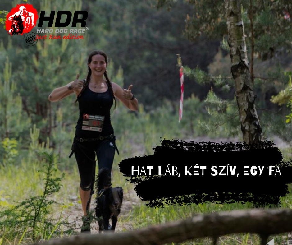 82896084_2758017394241718_8863559017033629696_n