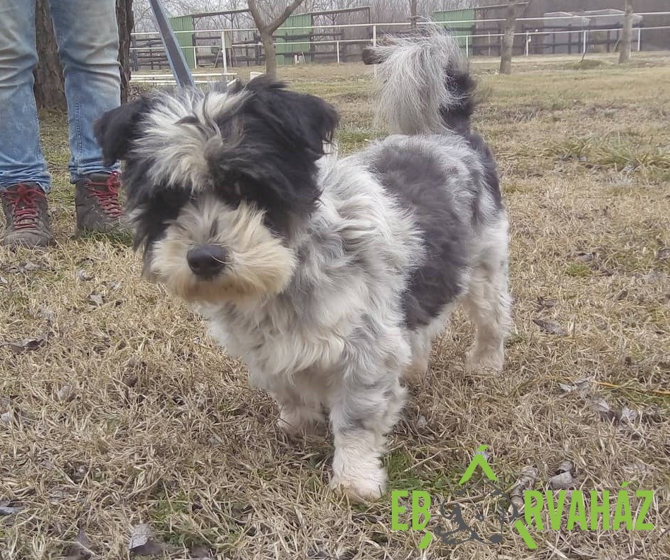 82913933_1509004419253106_6375208437797617664_n