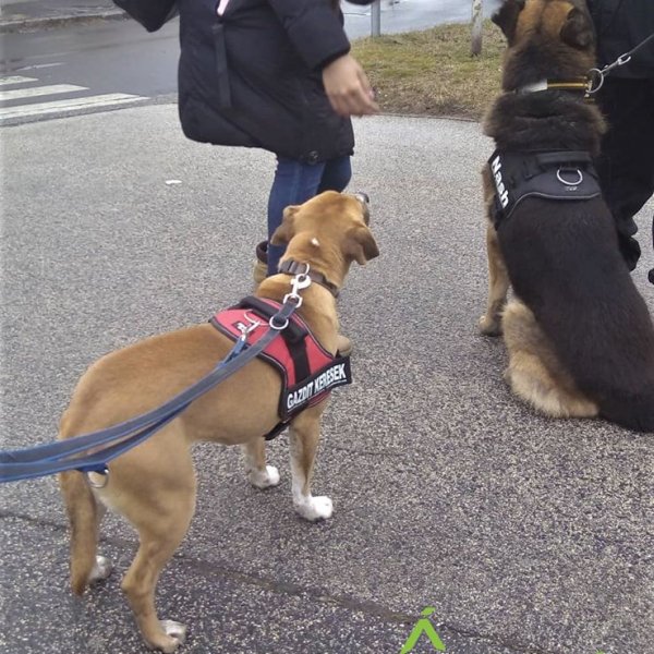 83049380_1512425012244380_2064816475423637504_o 83049380_1512425012244380_2064816475423637504_o