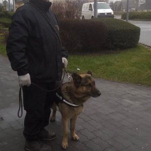 83145022_1512425122244369_4801005642804363264_o 83145022_1512425122244369_4801005642804363264_o