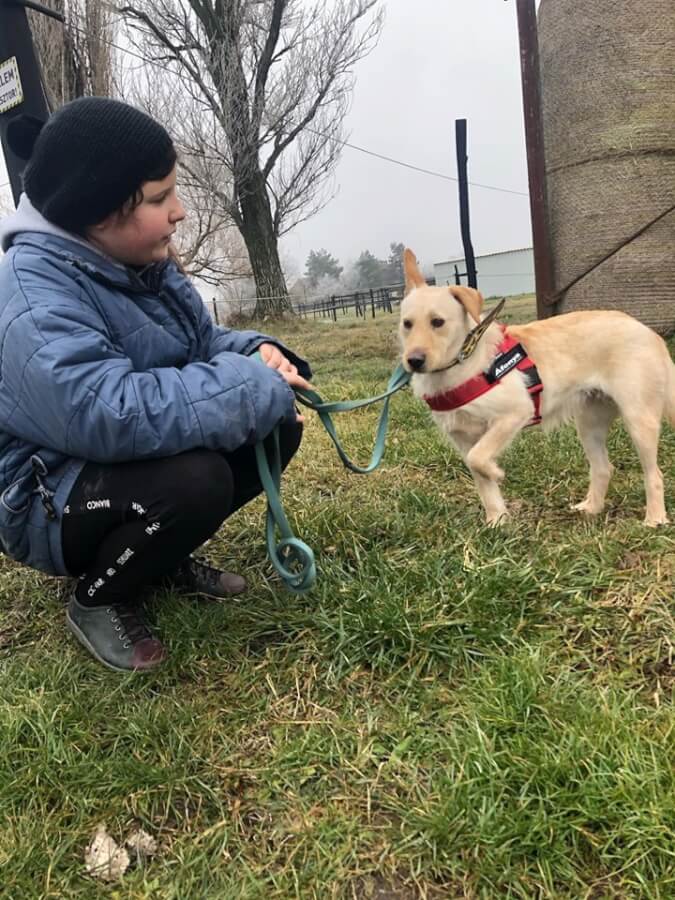 83373223_1504923986327816_6545898839096688640_n