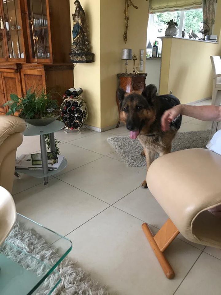 83947153_1518005048353043_8715692308168704000_o