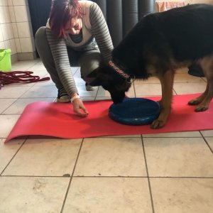 84359391_1519030264917188_8165204511594381312_o 84359391_1519030264917188_8165204511594381312_o