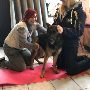 84398067_1519030118250536_8048663318501523456_o 84398067_1519030118250536_8048663318501523456_o