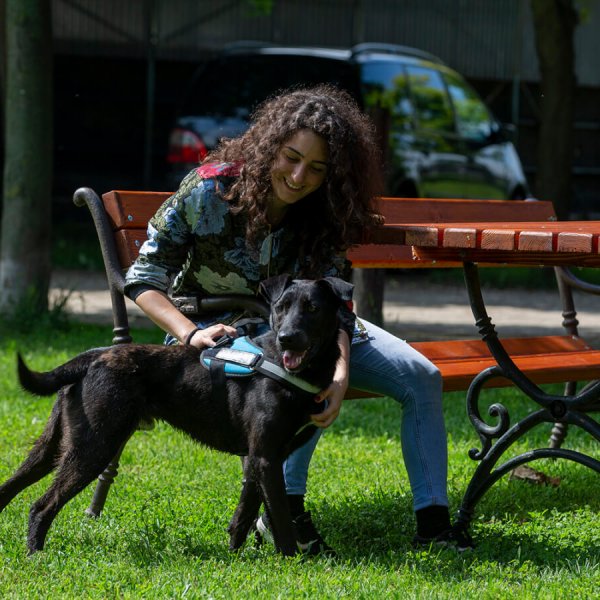 A62U2381_2 A62U2381_2