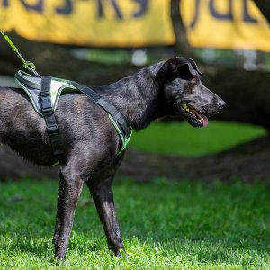 A62U2396_2 A62U2396_2