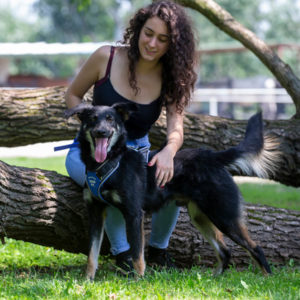 A62U2590_2 A62U2590_2