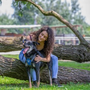 A62U2604_2 A62U2604_2