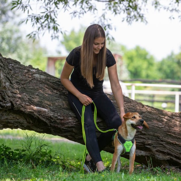 A62U2827_2 A62U2827_2