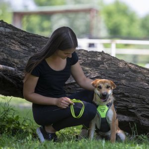 A62U2848_2 A62U2848_2