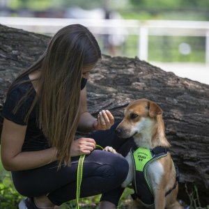 A62U2852_2 A62U2852_2