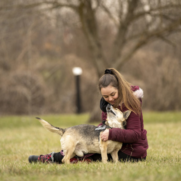 DSC04331_k DSC04331_k