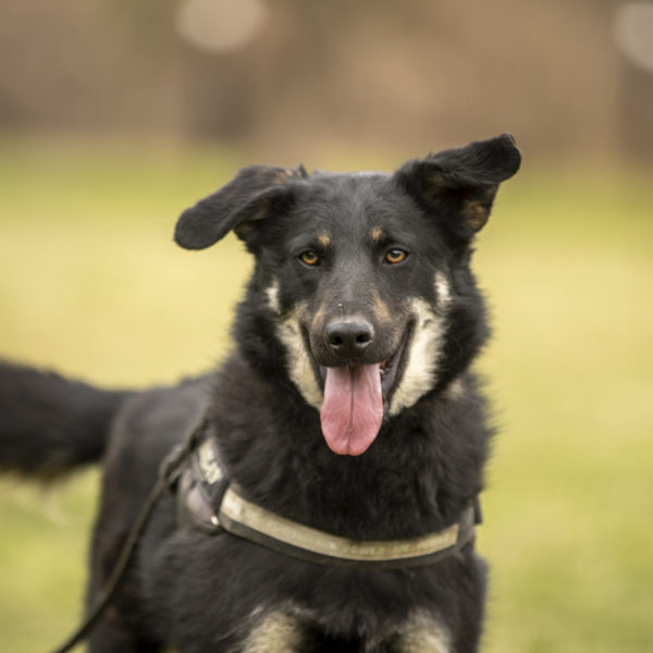 DSC04400_k DSC04400_k