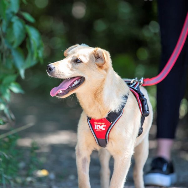 Junior18_2 Junior18_2