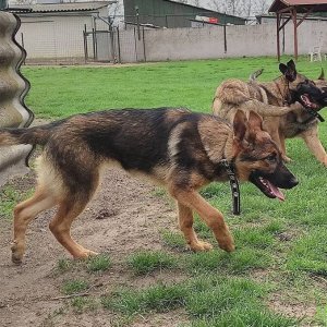 Leila-Leon-Leni1 Leila-Leon-Leni1