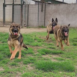 Leila-Leon-Leni2 Leila-Leon-Leni2