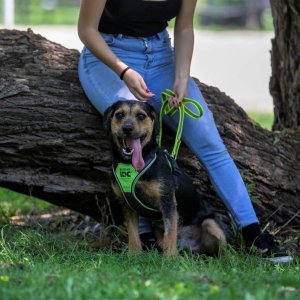 Blöki11.0 Blöki11.0