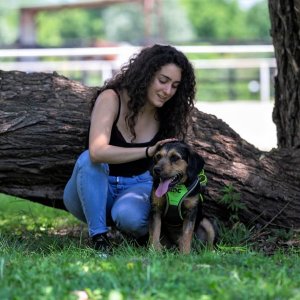 Blöki13.0 Blöki13.0