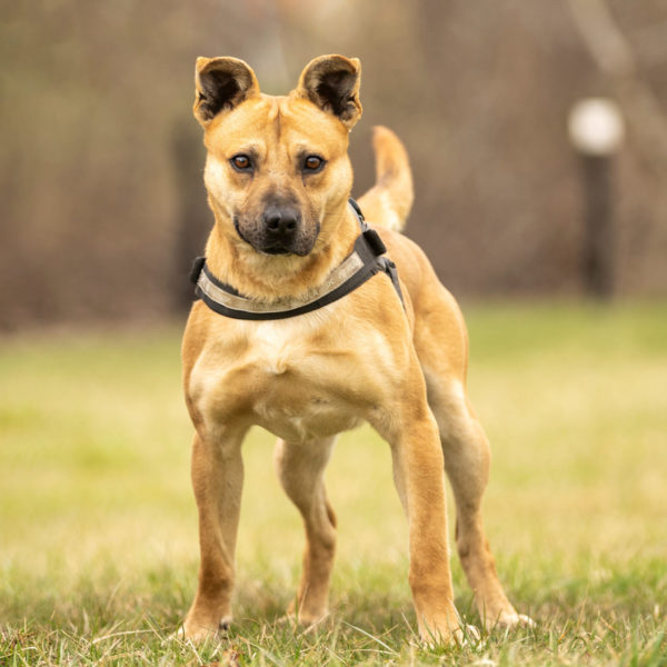 DSC04226_k DSC04226_k