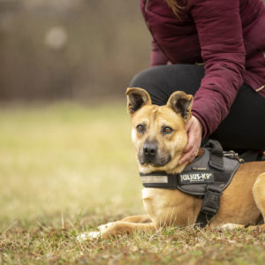 DSC04239_k DSC04239_k