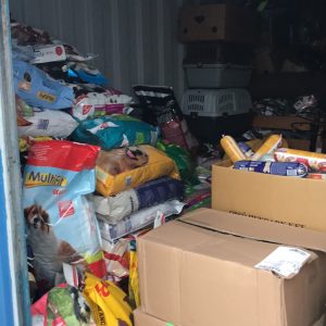 Adomany_2020.11.13._2-1 Adomany_2020.11.13._2-1