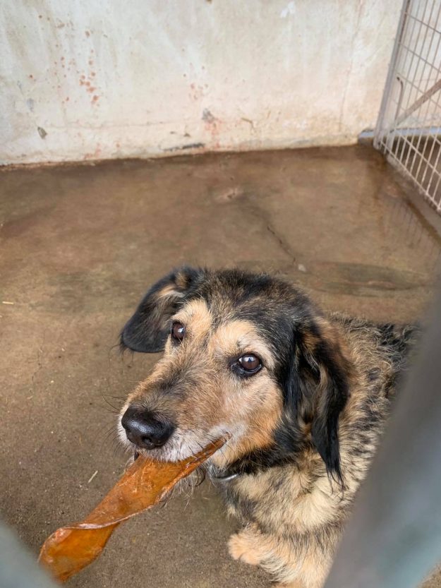 Adomany_2020.11.13._3-1