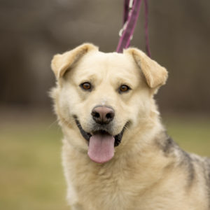 DSC04522_k DSC04522_k