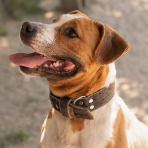 Hádész54_0 Hádész54_0