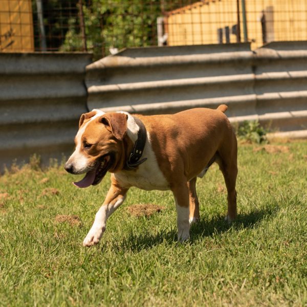 Hádész58_0 Hádész58_0