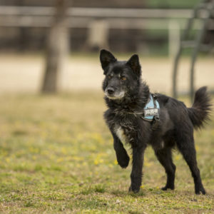 DSC03992_k DSC03992_k