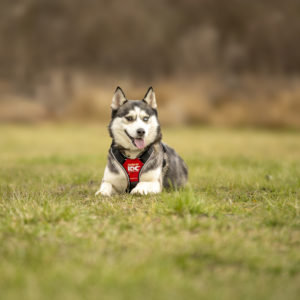 DSC04033_k DSC04033_k