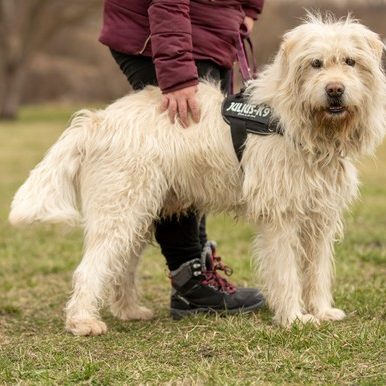 DSC04122_k DSC04122_k