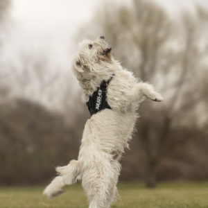 DSC04128_k DSC04128_k