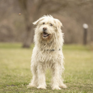 DSC04134_k DSC04134_k