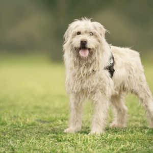 DSC04139_k DSC04139_k