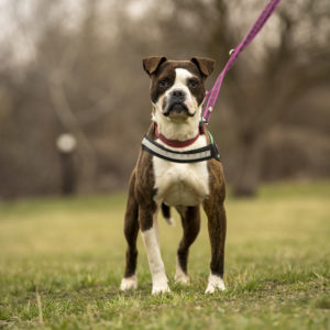 DSC04156_k DSC04156_k